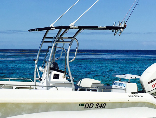 الترويج! Dolphin Pro2 Center C - مراجعة Fishing Rod Holder وسعره